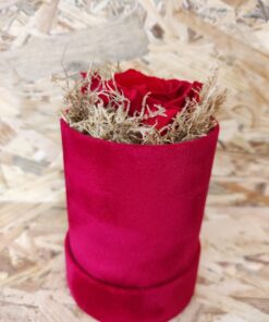 Alternative view of Αποχυμωμένο τριαντάφυλλο κόκκινο χρώμα σε κούτι