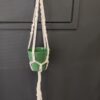 Macrame hanger plant