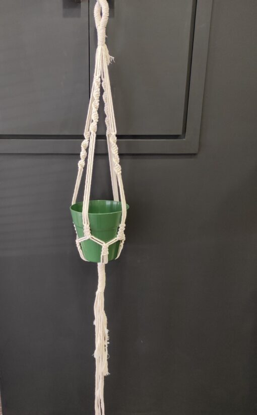 Macrame hanger plant