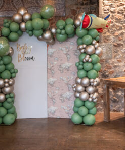 Backdrops with balloons & airplane
